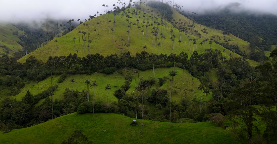 Hiking in Cocora Valley guide