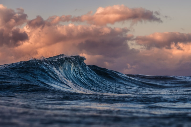 Hawaii coastline showing ocean waves approaching shore